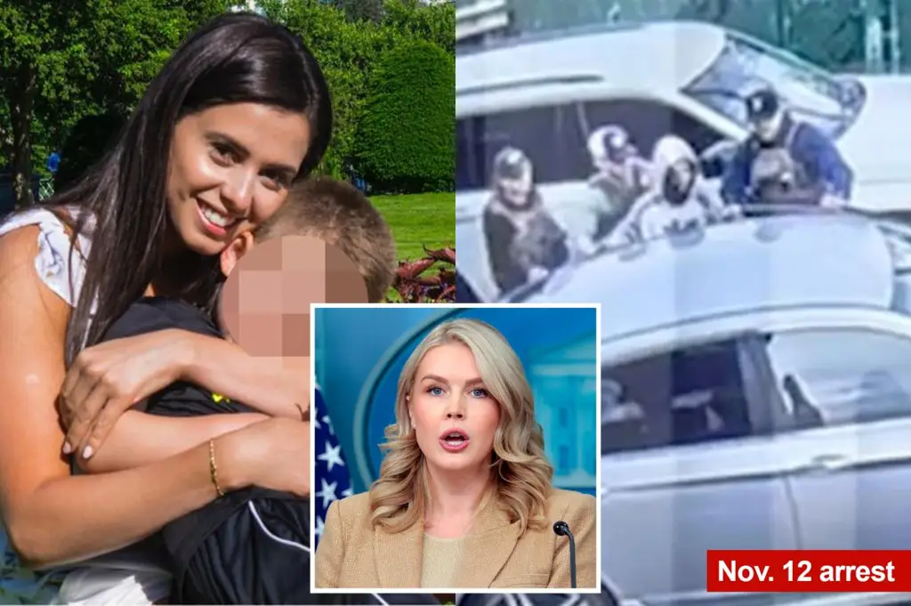 Мать племянницы Каролины Ливитт освобождена из-под стражи ICE