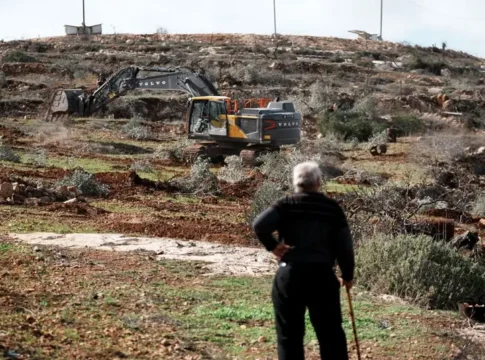 ЦАХАЛ выкорчевал сотни оливковых деревьев в деревне на Западном берегу под предлогом 