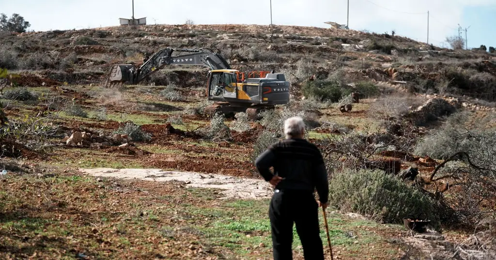 ЦАХАЛ выкорчевал сотни оливковых деревьев в деревне на Западном берегу под предлогом 