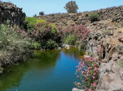 Опасные течения на севере: результаты проб воды выявили загрязнение