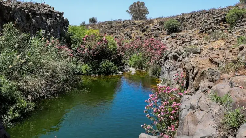 Опасные течения на севере: результаты проб воды выявили загрязнение