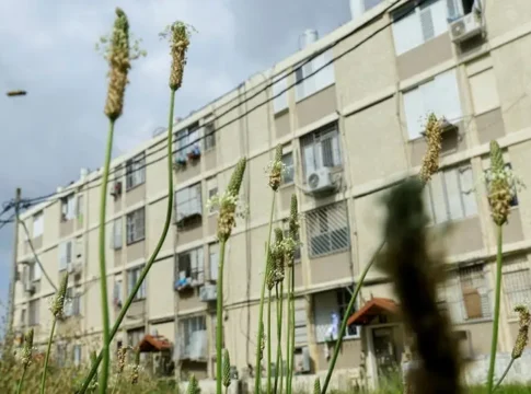 Компания «Амидар» получила многомиллионную прибыль, в то время как государственное жилье приходит в упадок