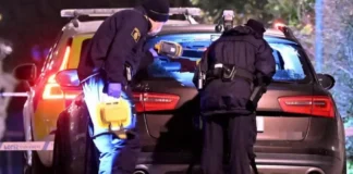 Шведские полицейские арестовали двух 24-летних женщин за пособничество в убийстве