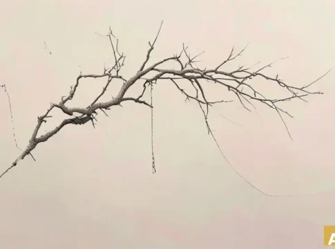 Арабские деревни протестуют против изъятия земель под Дорогу №6 (AI-иллюстрация)