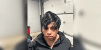 Иммигрант протаранил машину ICE: подозреваемый арестован Иммигрант протаранил машину ICE: подозреваемый арестован