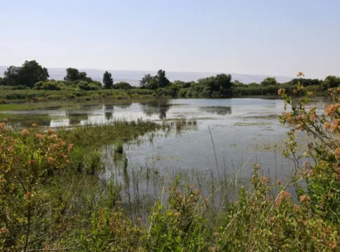 Январь бьет рекорды: Израиль ждет резкое потепление