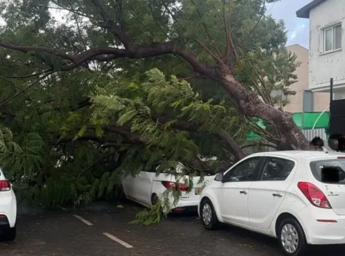 Ашкелон под ударом стихии: ураганный ветер и ливни парализовали город