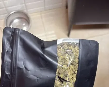 арест наркотдиллеров