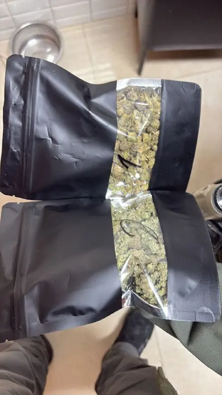 арест наркотдиллеров