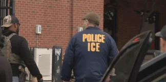 Преступность среди нелегалов: реальные цифры выше официальных Преступность среди нелегалов: реальные цифры выше официальных