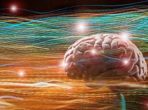 Сознание — квантовый феномен? Эксперимент с крысами проливает свет