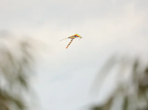 Кипр: запрет на запуск воздушных змеев и дронов у аэропорта Ларнаки