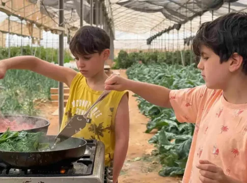 Фермеры и шефы объединились: Фестиваль еды в Араве