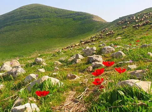 Природа зовет: три причины выбраться на природу этой весной