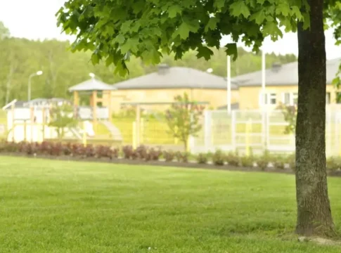 Частным садам в Ашдоде грозит закрытие из-за нарушений безопасности