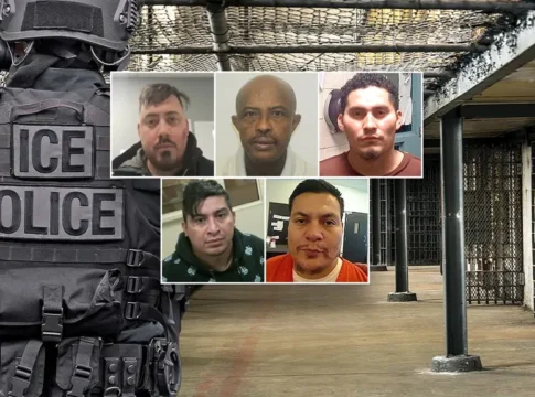 Активисты помогали насильникам и бандитам избегать депортации