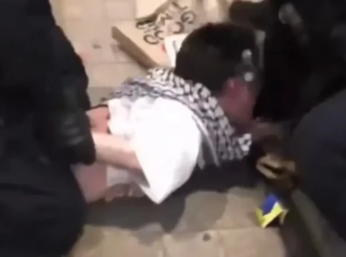 Пропалестинский демонстрант укусил полицейского в Сиднее