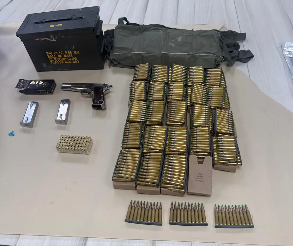 Задержан шестой подозреваемый в вооружённом ограблении в Дахарии