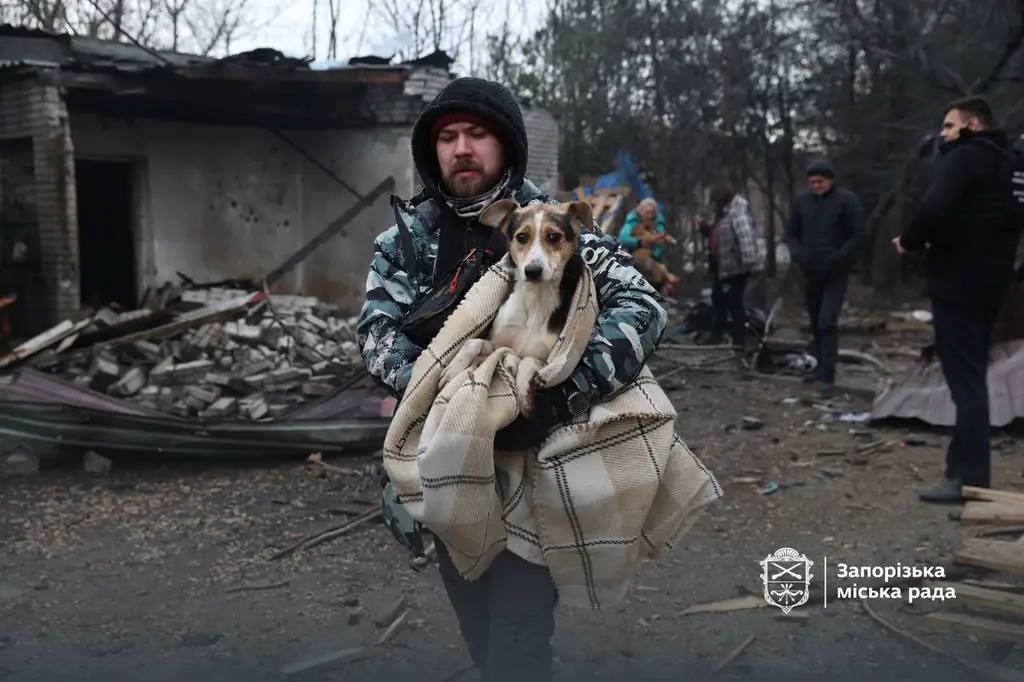 Русская ракета разрушила приют для собак в Запорожье