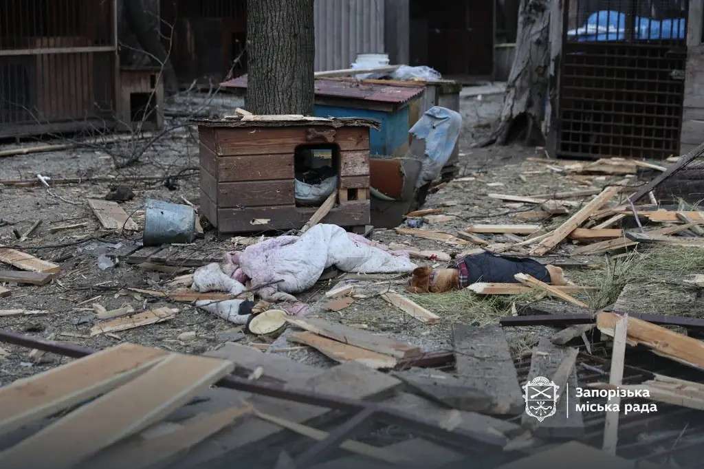 Русская ракета разрушила приют для собак в Запорожье