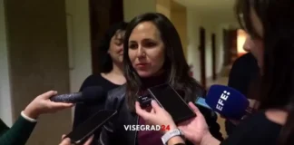 Podemos требует государственную соцсеть вместо X под управлением «нациста» (видео)