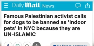 Палестинский активист vs конгрессмен Fine: скандал вокруг собак в Нью-Йорке