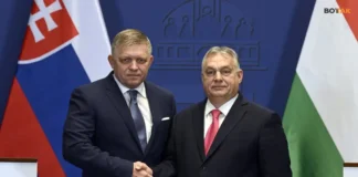 Венгрия и Словакия пригрозили Украине отключением света