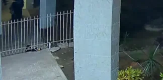 Псевдополицейский ограбил скупщика золота в Рамле (видео)