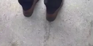 В Сан-Франциско митингующие скандировали «налог на евреев» (видео)