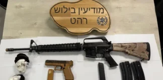 Полиция Израиля: оружие, нелегалы и скандалы