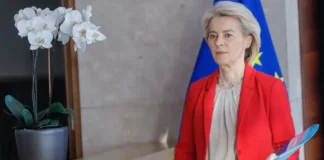 ЕС запускает сделку с Mercosur вопреки Европарламенту