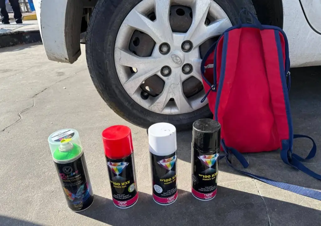 Две израильтянки арестованы за раскраску флага ПНА