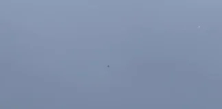 Сбитый над Беларусью российский дрон попал на видео (видео)