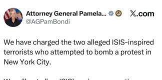 США: задержаны планировавшие теракт на протесте в Нью-Йорке