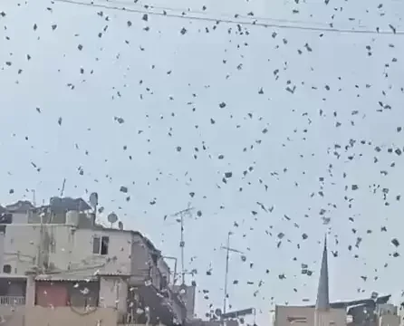 Листовки ЦАХАЛа над Бейрутом призывают к уничтожению Хизбалы