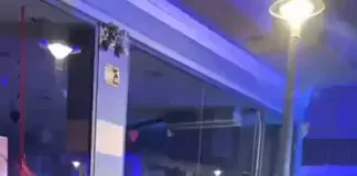 Африканские мигранты атаковали демонстрантов в Таррагоне (видео)