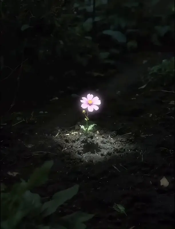 Израильские ракеты защищают жизнь, пока другие ракеты несут разрушение и смерть