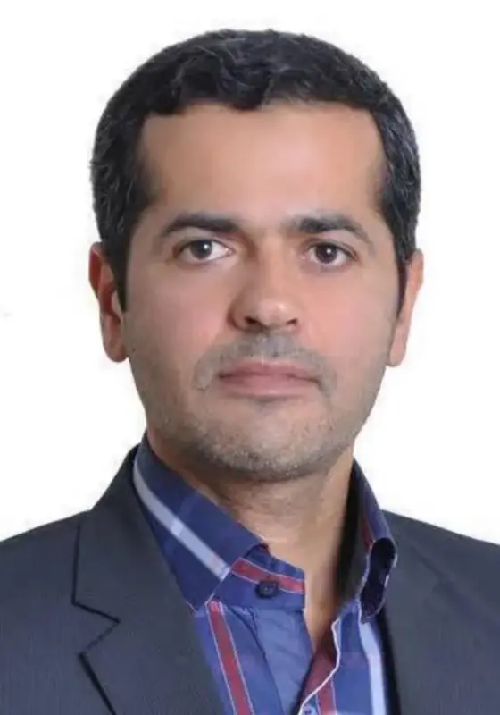 точечная ликвидация Иранского ученого