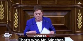 Испанская депутатка потребовала вывести Испанию из НАТО (видео)