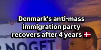 Датская партия взлетела до 9,1% на волне антимиграционного вотума (видео)