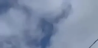 Украинский дрон перехватил «Шахеда» над фронтом (видео)