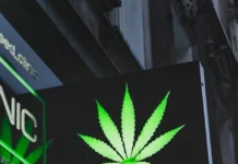 Верховный суд лишил лицензий компании, связанные с криминалом