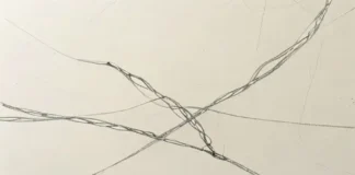 Нетаниягу и новый премьер Венгрии провели первую беседу Нетаниягу и новый премьер Венгрии провели первую беседу (AI-иллюстрация)