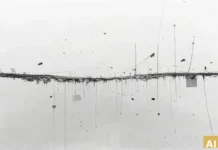 Журналистку обвинили в унижении хасидов, собиравших деньги на свадьбу Журналистку обвинили в унижении хасидов, собиравших деньги на свадьбу (AI-иллюстрация)