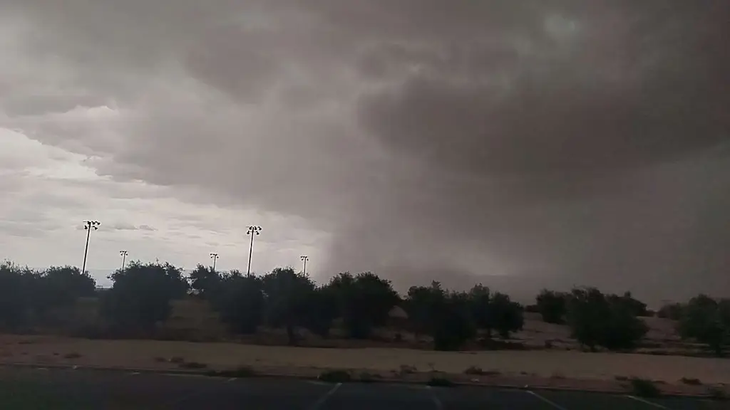 Зима не сдается: дожди и низкие температуры продолжаются