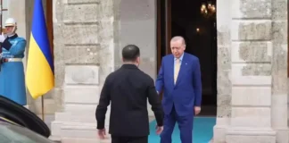 Зеленский встретился с Эрдоганом в Турции (видео)