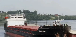 В Азовском море затонул сухогруз с пшеницей