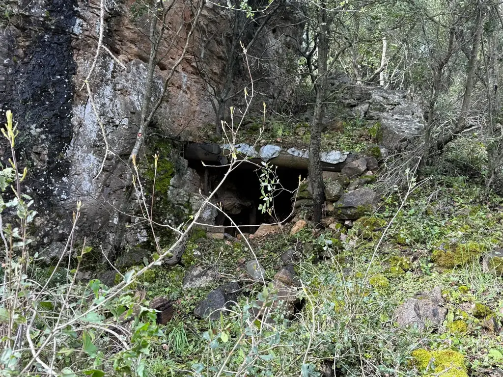 ЦАХАЛ ликвидировал боевика «Хезболлы» и захватил склад оружия на юге Ливана