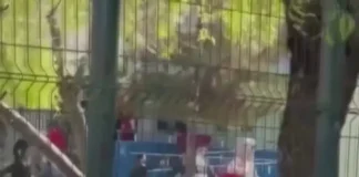 Стрельба в школе в Турции -16 человек пострадали, нападавший покончил с собой.