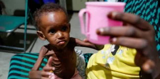 Голод в Судане: более 60% населения страдают от острого дефицита продовольствия